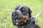 Museruola in cuoio per Rottweiler