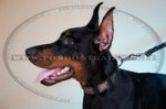 Collare in cuoio con piastre decorative per Dobermann
