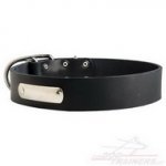 Collare in cuoio con piastra d'identificazione per cane