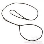 Guinzaglio combinato in nylon da ring per cane