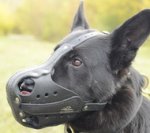 Museruola in cuoio per Pastore tedesco