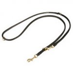 Guinzaglio in pelle per cane