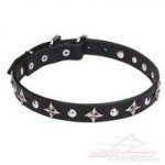 Collare con borchie a stellina "Pleiades" per cane
