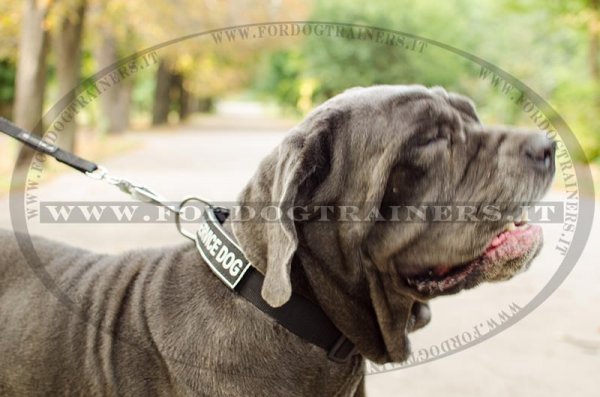 Collare regolabile in nylon per cane