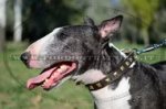 Collare in cuoio con decorazione per Bull terrier