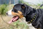 Collare in cuoio con decorazione per Swiss Mountain Dog