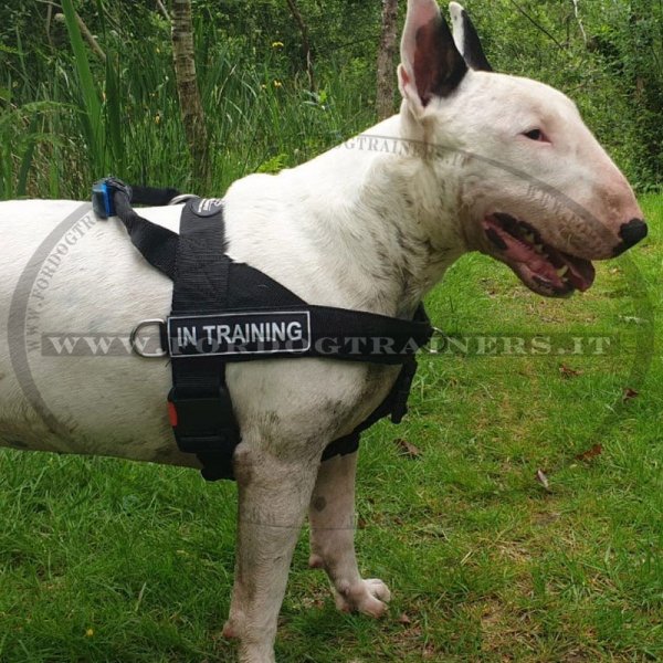 Pettorina in nylon da traino per Bull Terrier