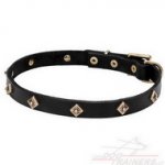 Collare stretto "Rhombi" con piastre in ottone per cane