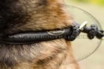 Collare in cuoio a strozzo per Malinois