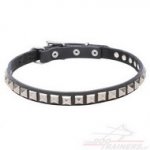 Collare con piastre a piramide per cane