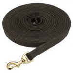 Guinzaglio in cuoio da addestramento per cani