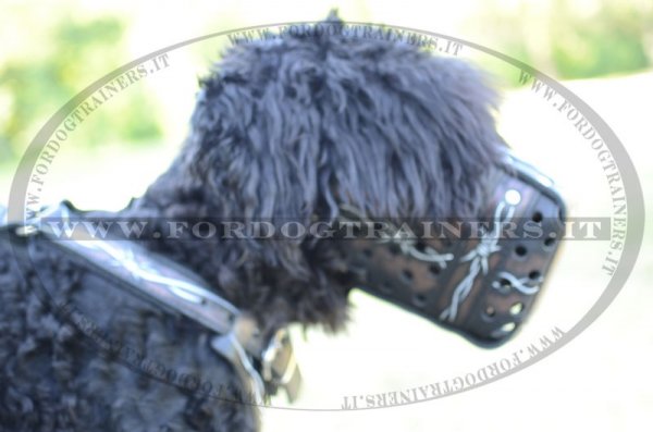 Museruola in cuoio con "Filo spinato" per Terrier Nero Russo
