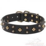 Collare con borchie gialle di ottone per cane