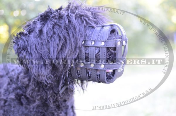 Comoda museruola in vera pelle per Terrier Nero Russo