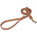 Guinzaglio in pelle per cani