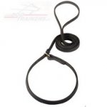 Collare - guinzaglio in cuoio per cane