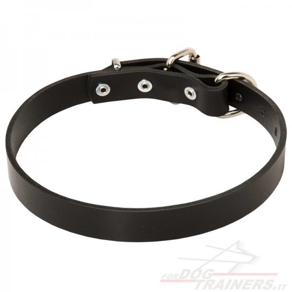 Collare classico in pelle, larghezza 25 mm