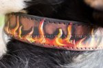 Collare in cuoio dipinto a mano "Fuoco" per Swiss Mountain Dog