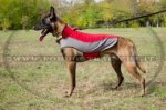 Cappottino per Malinois