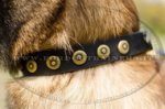 collare con borchie rotonde per Malinois