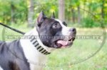 Collare in pelle con piramidi per American Staffordshire Terrier