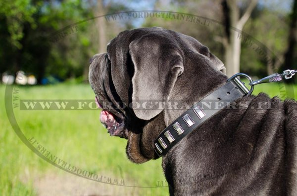 Collare in cuoio con piastre rettangolari