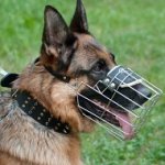 Museruola a cestello in filo nichelato per Pastore tedesco