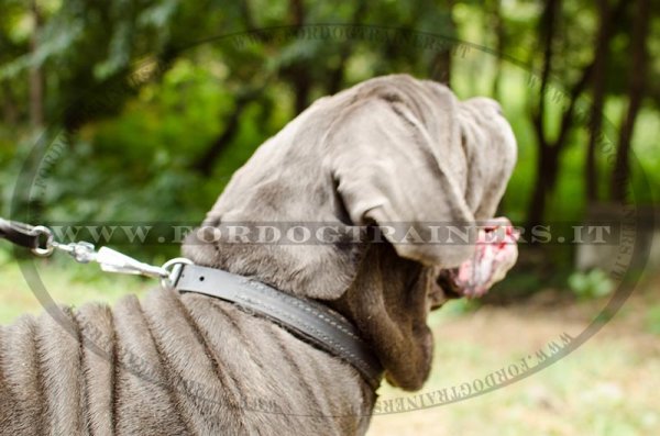 Collare classico in pelle, larghezza 25 mm