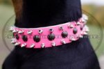 Collare rosa con borchie decorative per Dobermann