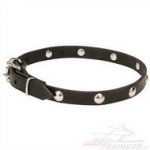 Collare stretto con piastre cromate a sfera per cane