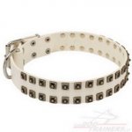 Collare in cuoio bianco con piramidi per cane