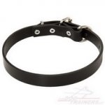Collare classico in pelle, larghezza 25 mm