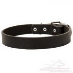Collare classico in pelle, larghezza 30 mm