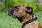 Collare in cuoio con borchie a piramide per Boxer