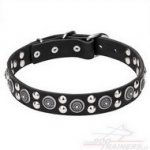 Collare "Galactic Style" con borchie rotonde per cane