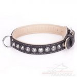 Collare "Cone" con decorazioni cromate