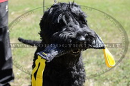 Riporto da mordere in tela francese per Terrier Nero Russo Riporto da mordere in tela francese per Terrier Nero Russo