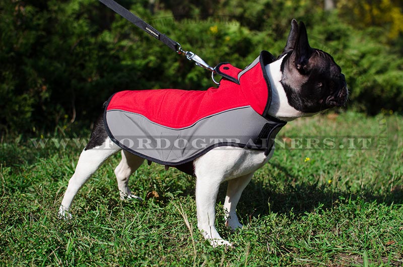 Cappottino di nylon impermeabile per Bulldog francese