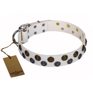Collare originale "Snowflake" FDT Artisan per cane Collare originale "Snowflake" FDT Artisan per cane