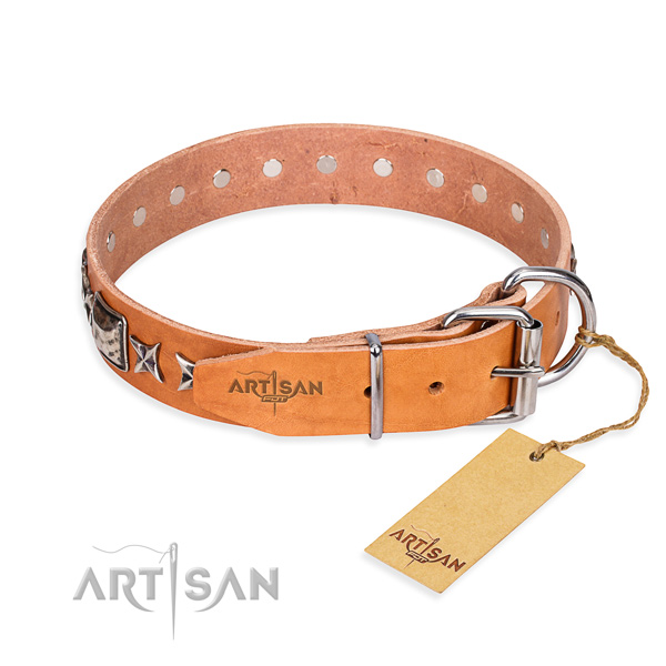 Collare esclusivo Silver Chic Artisan per cane