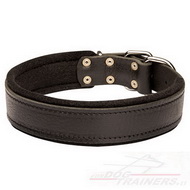 Collare con fodera di feltro per cani, larghezza 50 mm Collare con fodera di feltro per cani, larghezza 50 mm
