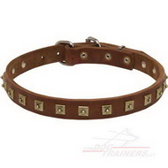 Collare in cuoio con decorazione di bronzo per cane