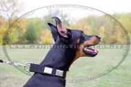 Collare in nylon con piastre decorative per Dobermann Collare in nylon con piastre decorative per Dobermann