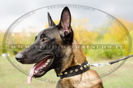 Collare in nylon con borchie a piramide per Malinois Collare in nylon con borchie a piramide per Malinois