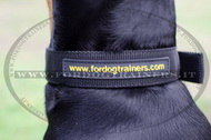 Collare in nylon per Dobermann Collare in nylon per Dobermann