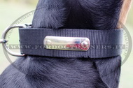 Collare in nylon con piastra d'identificazione per Dobermann Collare in nylon con piastra d'identificazione per Dobermann