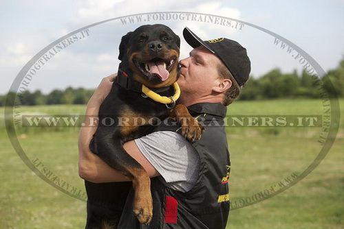 Collare con maniglia per Rottweiler