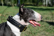 Collare in cuoio con intrecciamento per Bull terrier