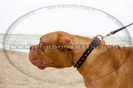Collare in cuoio con borchie a piramide per Dogue de Bordeaux Collare in cuoio con borchie a piramide per Dogue de Bordeaux