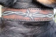Collare dipinto a mano "Filo spinato" per Swiss Mountain Dog Collare dipinto a mano "Filo spinato" per Swiss Mountain Dog